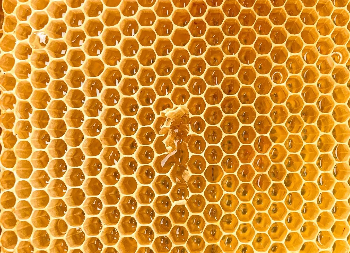 brown and black metal frame